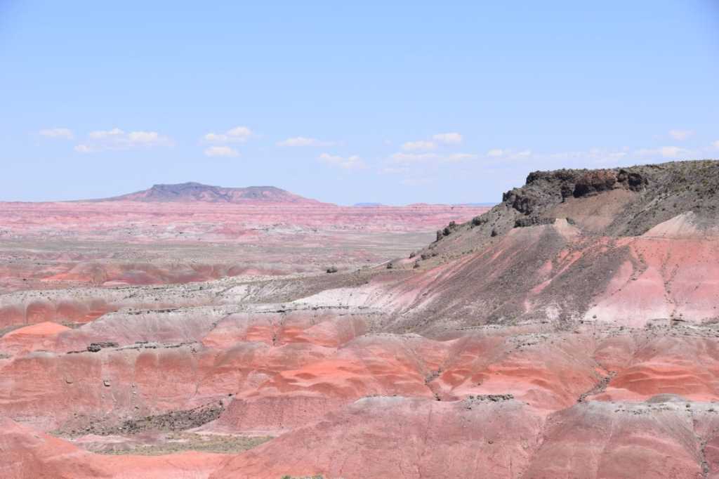 DSC_0040Mittel_.JPG